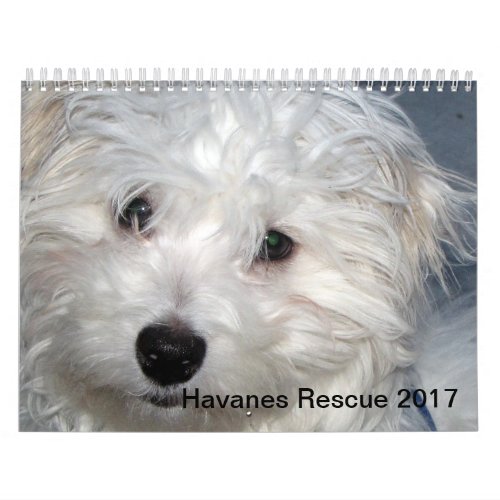 Rescue Havanese Pups 2014 Calendar