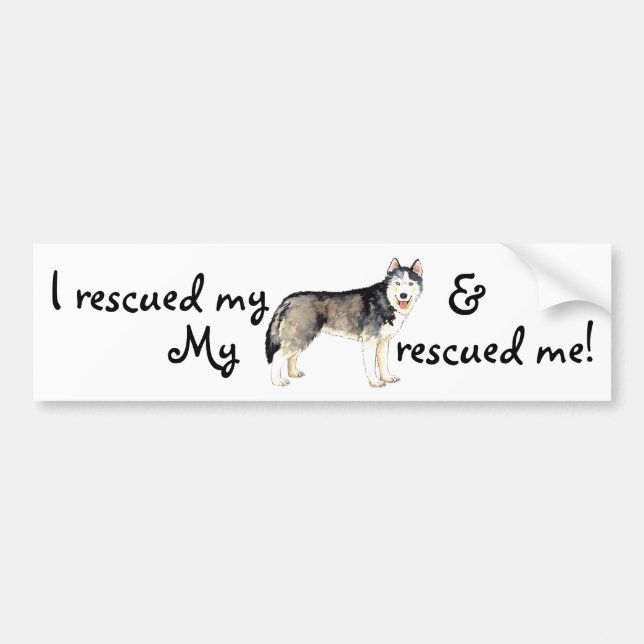 Rescue Husky Bumper Sticker (Front)