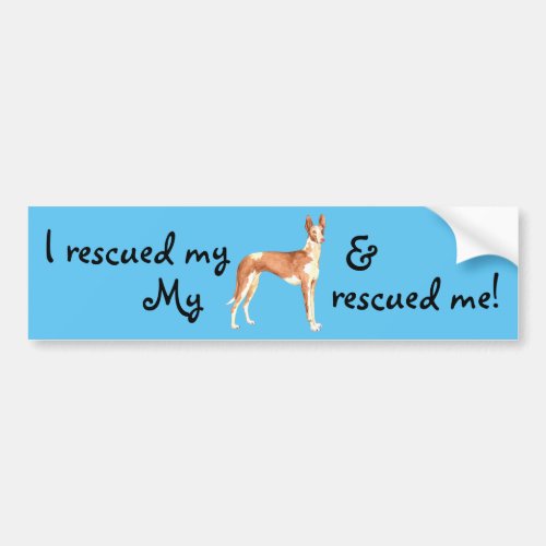 Rescue Ibizan Hound Bumper Sticker