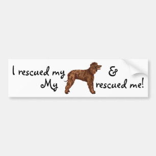 Rescue Irish Water Spaniel Bumper Sticker