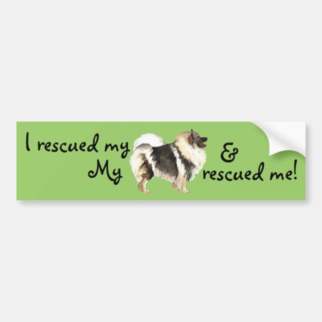 Rescue Keeshond Bumper Sticker (Front)