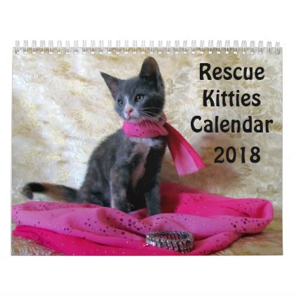 Rescue Kitty Calendar - New for 2018!