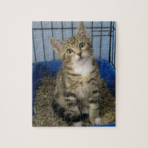 Rescue Kitty Puzzle
