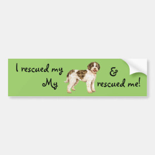 Rescue Lagotto Bumper Sticker