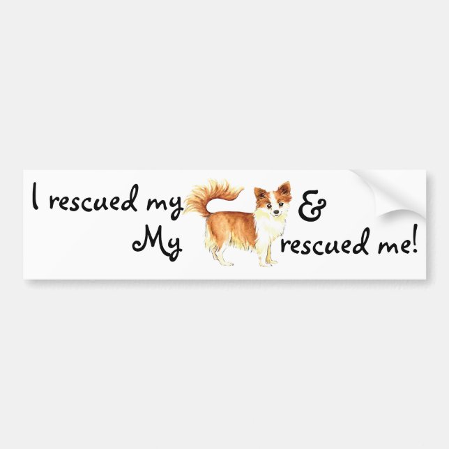 Rescue Long Coat Chihuahua Bumper Sticker (Front)