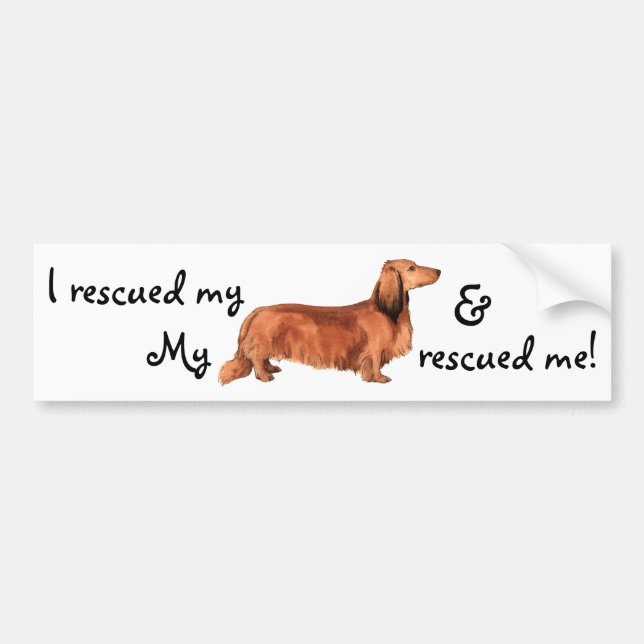 Rescue Longhaired Dachshund Bumper Sticker (Front)