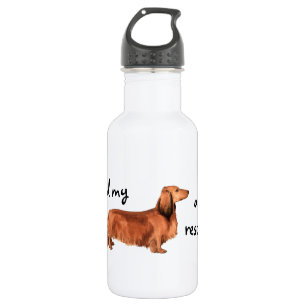 Rescue Longhaired Dachshund Stainless Steel Water Bottle