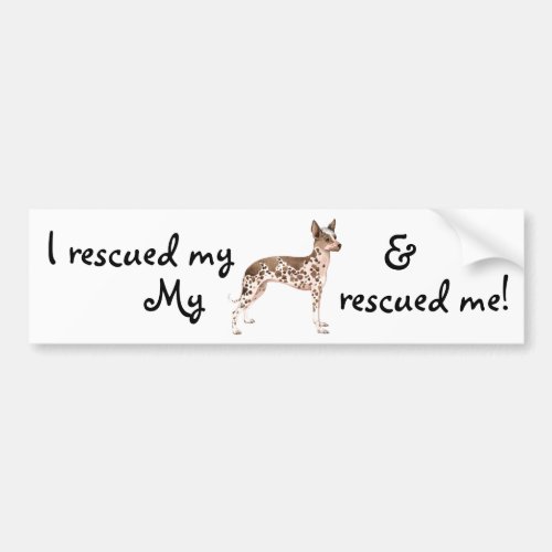 Rescue Peruvian Inca Orchid Bumper Sticker