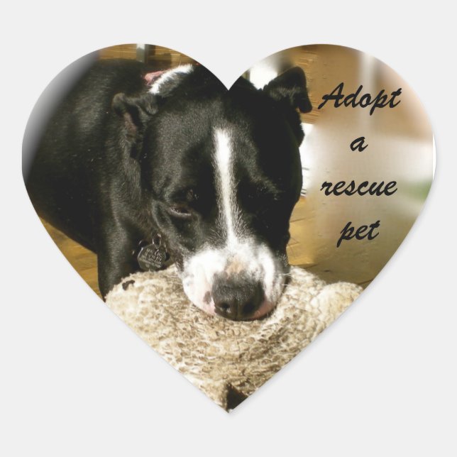 Rescue Pet Adoption Heart Sticker (Front)