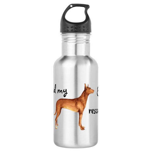 Rescue Pharaoh Hound Stainless Steel Water Bottle