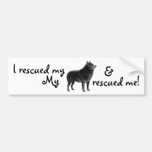 Rescue Schipperke Bumper Sticker