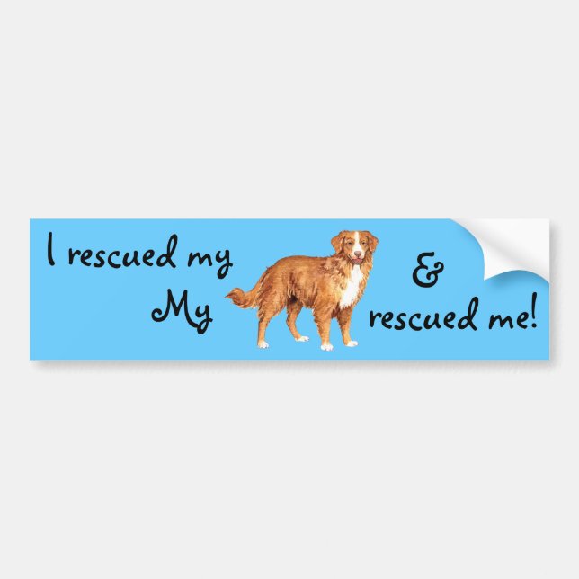 Rescue Toller Bumper Sticker (Front)