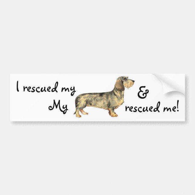 Rescue Wirehaired Dachshund Bumper Sticker (Front)