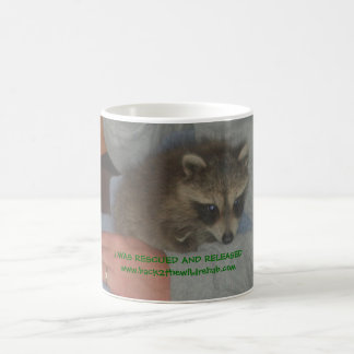 rescued baby raccoon mug