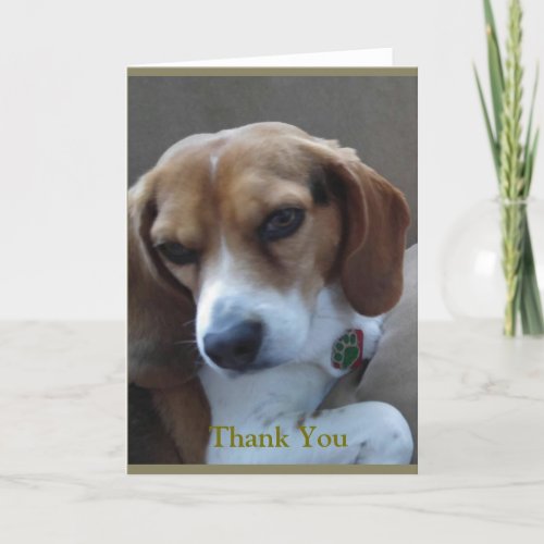 Rescued Beagle Sunny Thank You Card