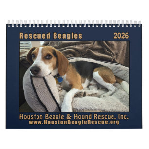 Rescued Beagles 2026 Wall Calendar