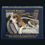 Rescued Beagles 2026 Wall Calendar<br><div class="desc">Adorable rescued beagles on twelve page 2026 calendar</div>