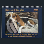 Rescued Beagles 2026 Wall Calendar<br><div class="desc">Adorable rescued beagles on twelve page 2026 calendar</div>