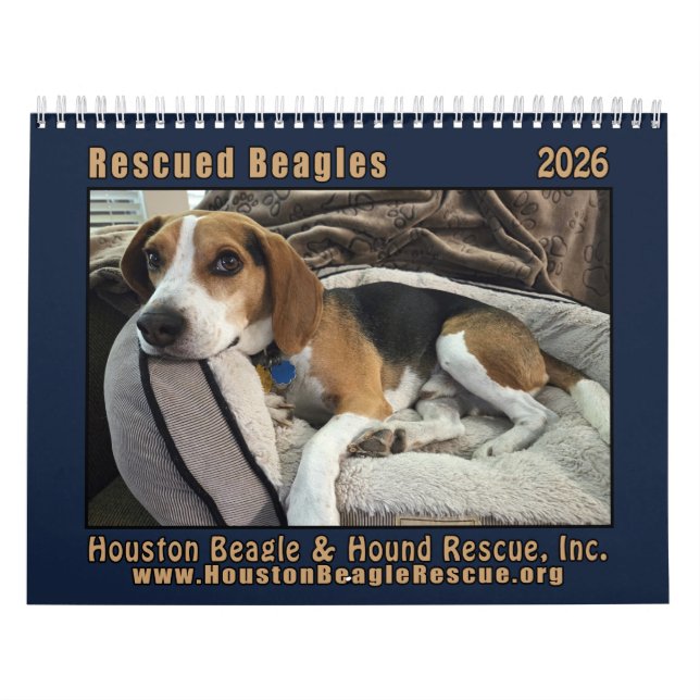 Rescued Beagles 2026 Wall Calendar (Cover)