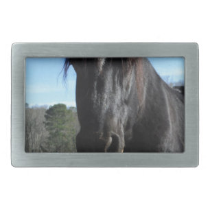 Rescued Black Draft Horse Belt Buckle