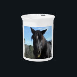 Rescued Black Draft Horse Beverage Pitcher<br><div class="desc">Rescued Black Draft Horse Photo by Sandy Closs Customize with your own name or text to create a one of a kind gift. "horse lovers""horse gift""horse gift", "gifts for horse lovers ", "i love horses", "brown horse",  horse, horses, "horse gifts""farm animals ",  pony ,  ponies""horse lover""horse lovers"</div>