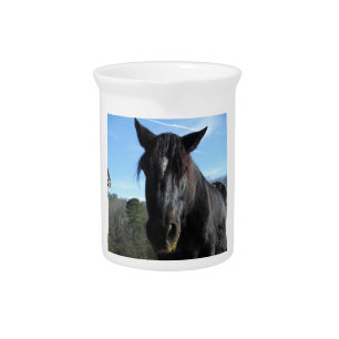 Rescued Black Draft Horse Beverage Pitcher