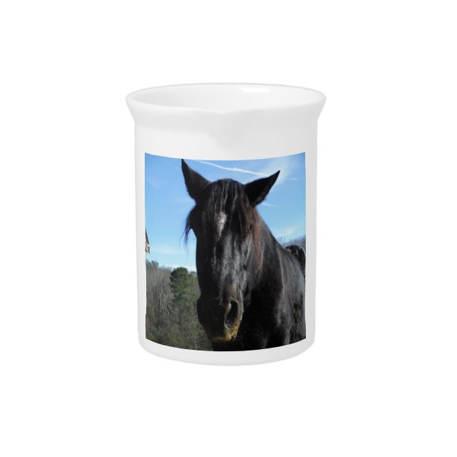 Rescued Black Draft Horse Beverage Pitcher (Front)