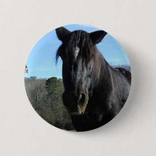 Rescued Black Draft Horse Button