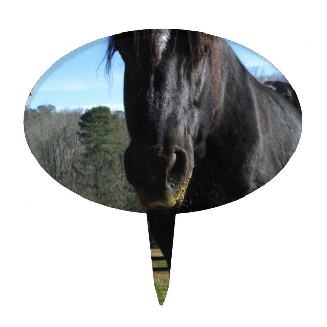 Rescued Black Draft Horse Cake Topper (Front)