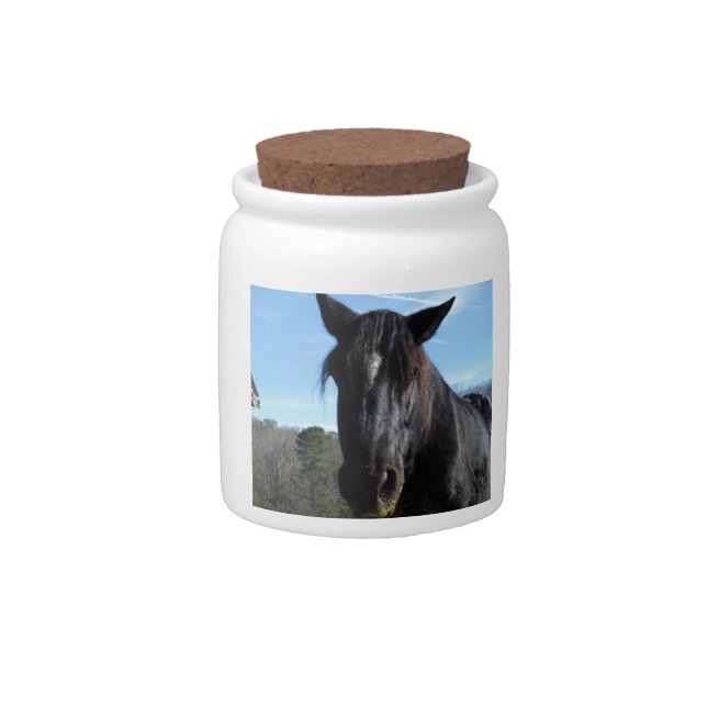 Rescued Black Draft Horse Candy Jar (Front)