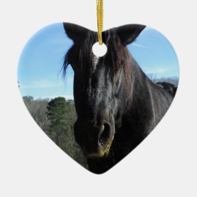Rescued Black Draft Horse Ceramic Ornament (Front)