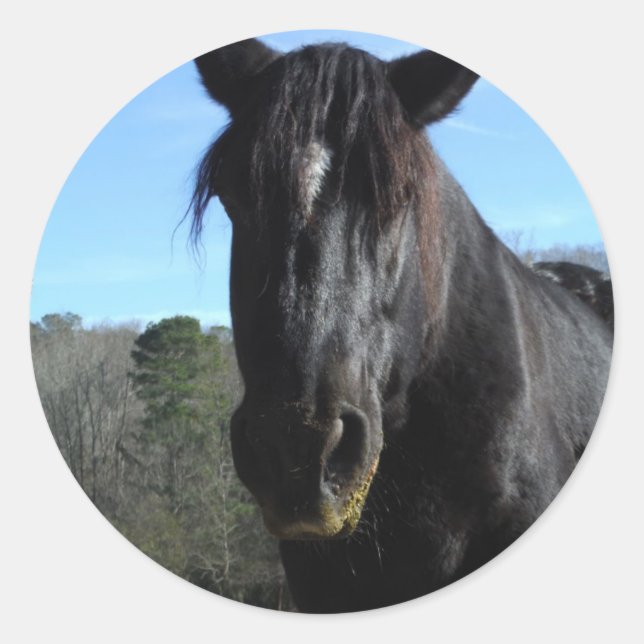 Rescued Black Draft Horse Classic Round Sticker (Front)