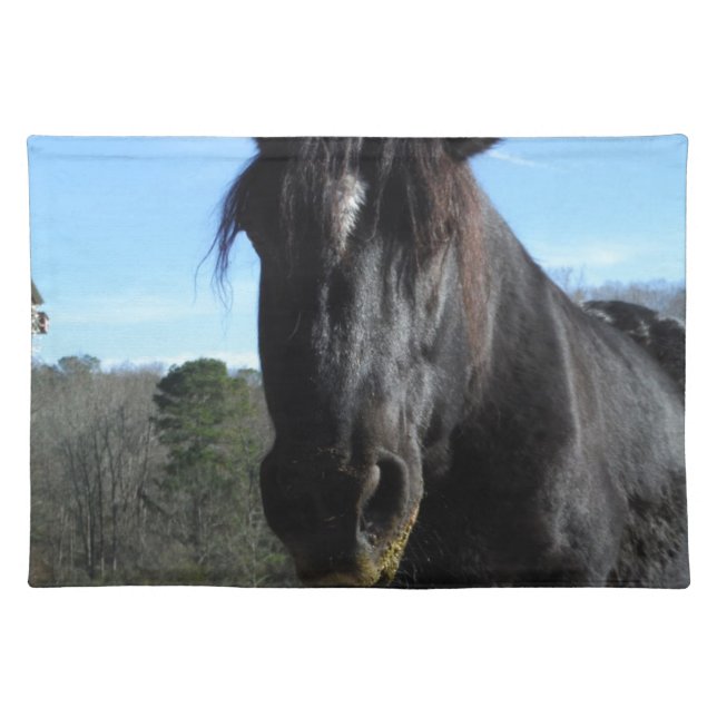 Rescued Black Draft Horse Cloth Placemat (Front)