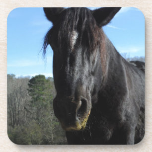 Rescued Black Draft Horse Drink Coaster