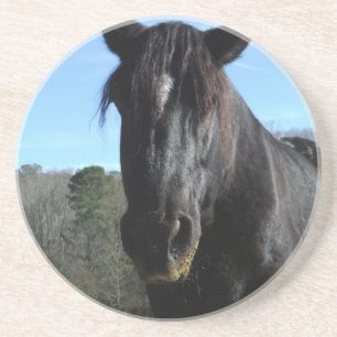 Rescued Black Draft Horse Drink Coaster