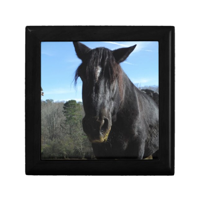 Rescued Black Draft Horse Jewelry Box (Front)