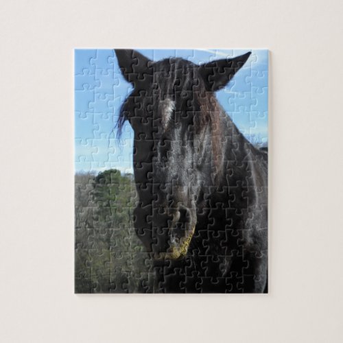 Rescued Black Draft Horse Jigsaw Puzzle