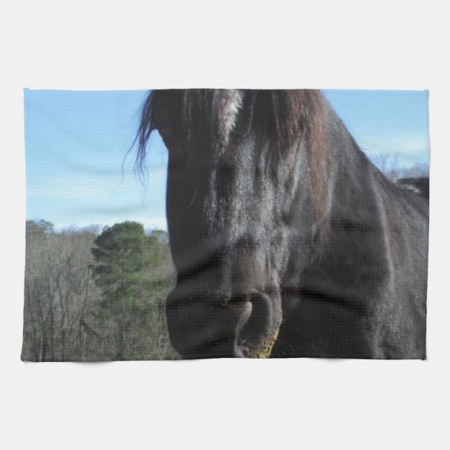 Rescued Black Draft Horse Kitchen Towel (Horizontal)