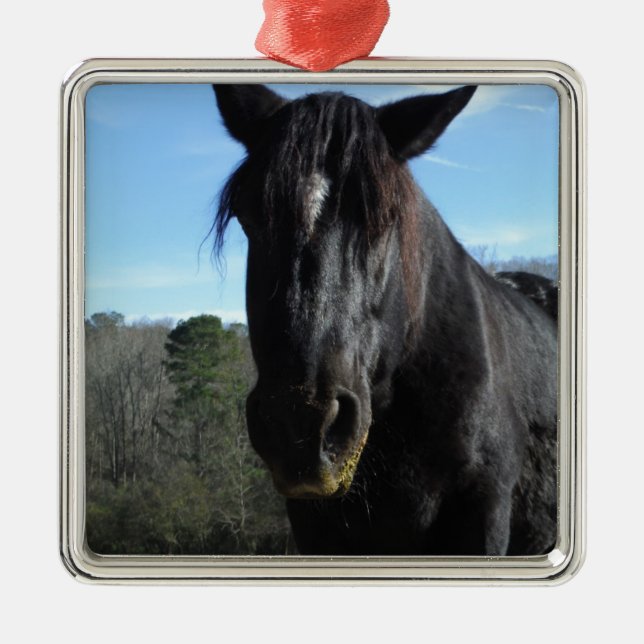 Rescued Black Draft Horse Metal Ornament (Front)