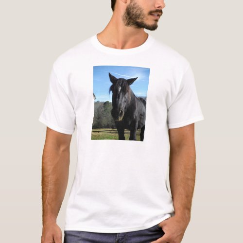 Rescued Black Draft Horse T_Shirt