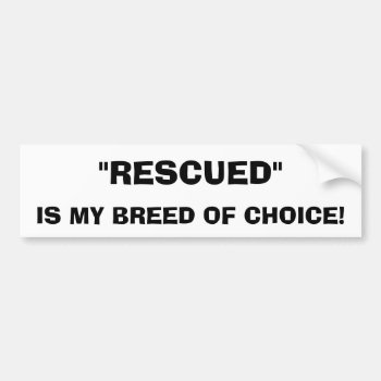 Rescued Dog Bumper Sticker by foreverpets at Zazzle