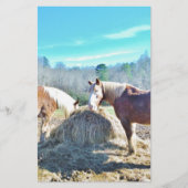 Rescued Draft Horses eating hay (Front)
