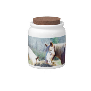 Rescued Draft Horses eating hay Candy Jar