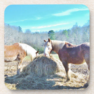 Rescued Draft Horses eating hay Coaster