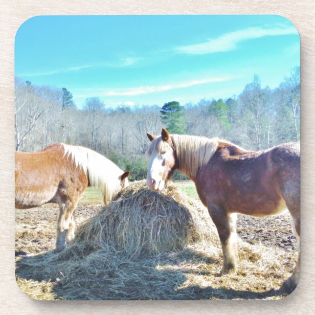 Rescued Draft Horses eating hay Coaster (Front)