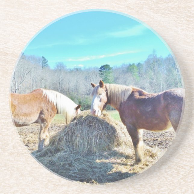 Rescued Draft Horses eating hay Coaster (Front)