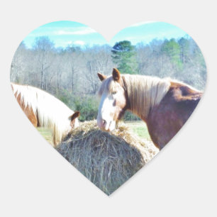 Rescued Draft Horses eating hay Heart Sticker