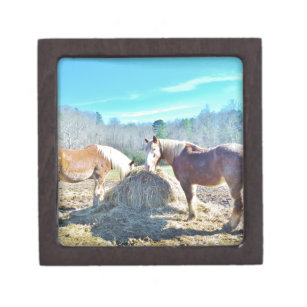 Rescued Draft Horses eating hay Jewelry Box