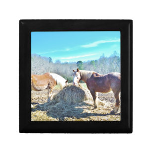 Rescued Draft Horses eating hay Keepsake Box
