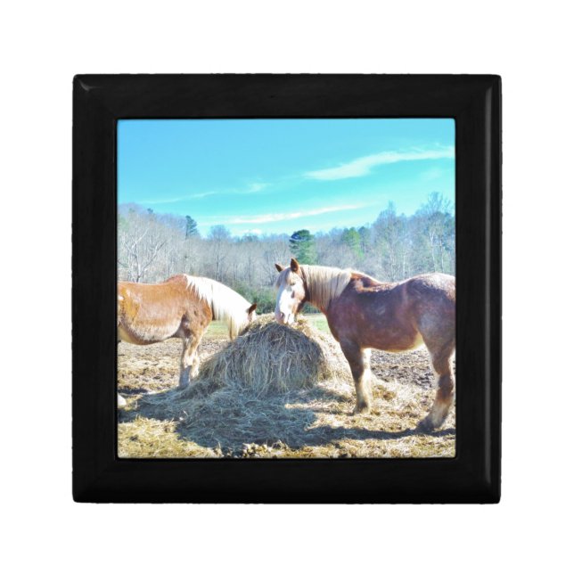 Rescued Draft Horses eating hay Keepsake Box (Front)